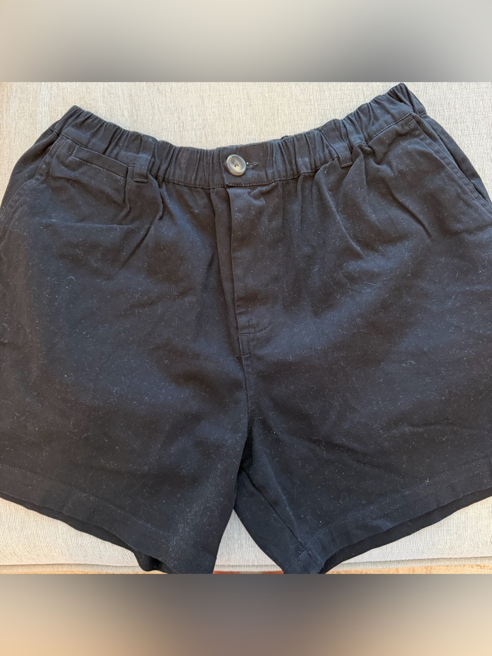Cove Black Flat Front Men's Shorts 5 inch